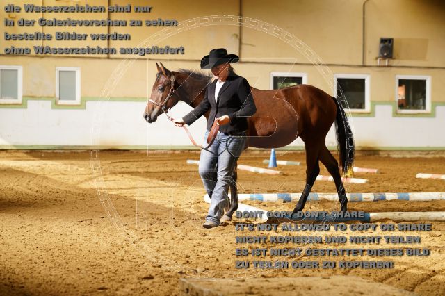 s_K3F08156.JPG